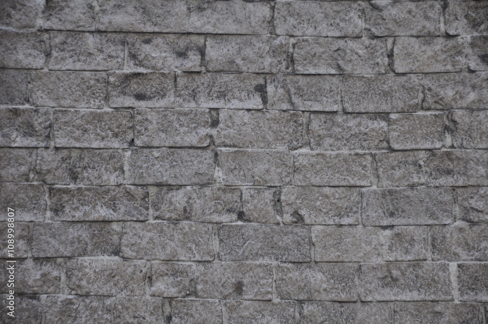 Fototapeta premium Wall