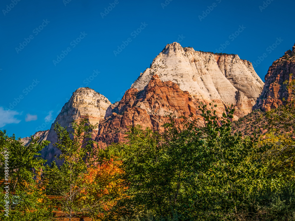 ZION NATIONAL PARK SCENERY