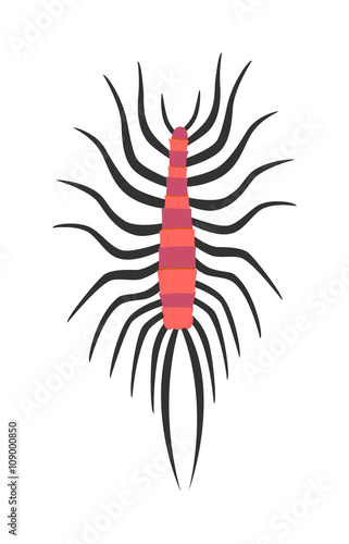 Beetle wood louse exoskeleton armadillo armor insect flat vector. 
