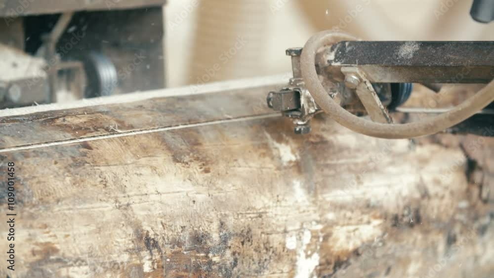 wood cutting machine board log in a sawmill wood cutting machine board log in a sawmill