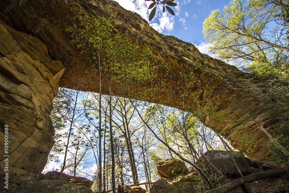 Natural Bridge Stone Arch. Visitors to Natural Bridge State Park can