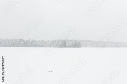 Blizzard winter landscape at frozen lake