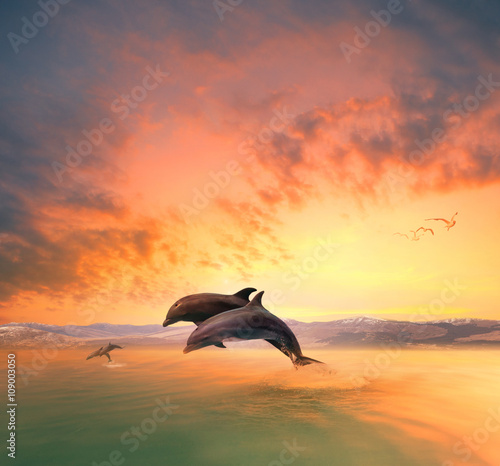 couples of sea dophin jumping through ocean wave floating mid ai © stockphoto mania