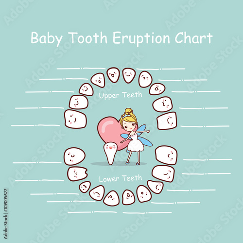 Baby tooth chart eruption record
