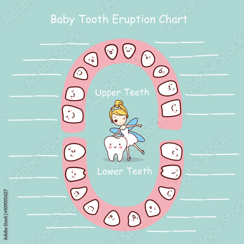 Baby tooth chart eruption record