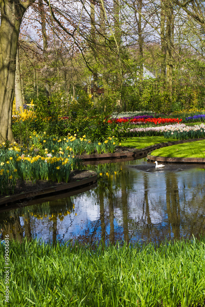Fototapeta premium beautiful garden. Park