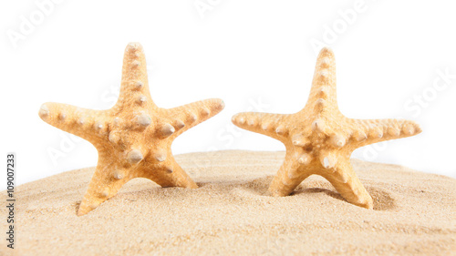 Starfish on the beach. Starfish isolated on white background