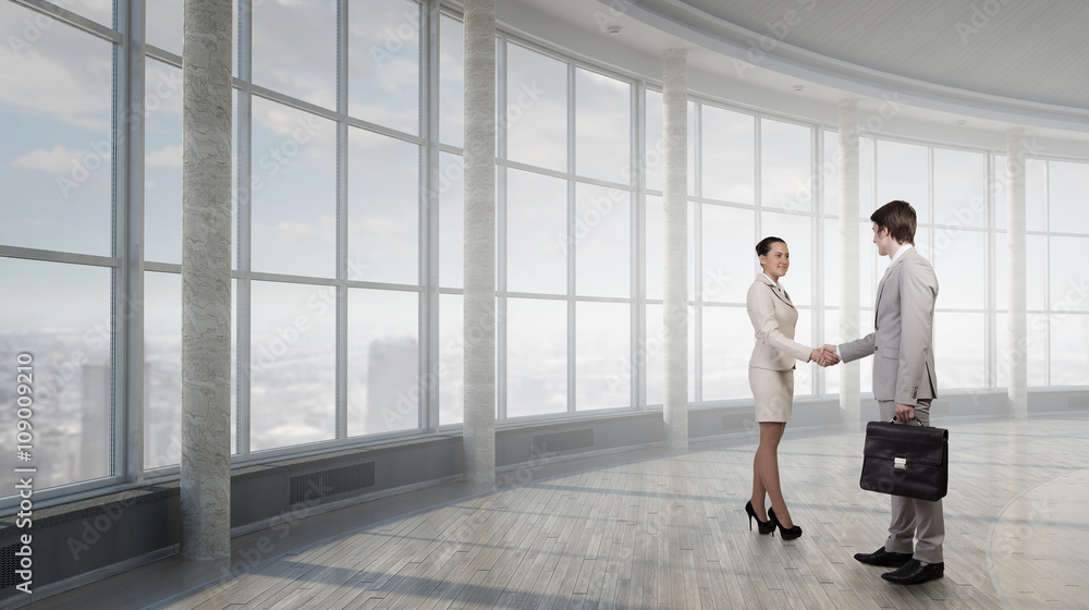 Business partners handshake Business partners handshake