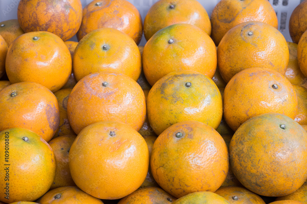 Fresh Oranges background,sweet green Thai orange for sale Fresh Oranges background,sweet green Thai orange for sale