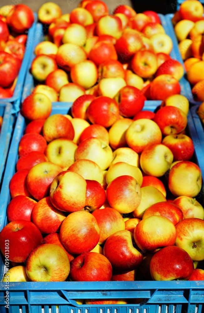 Apfelmeer auf dem Wochenmarkt