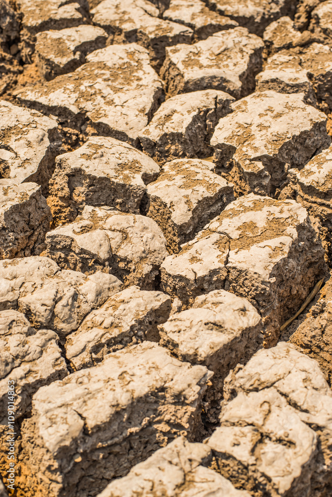Fototapeta premium Soil water deficit