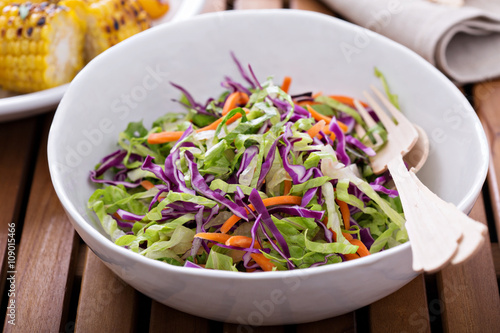 Cole slaw salad for an outdoor picnic 