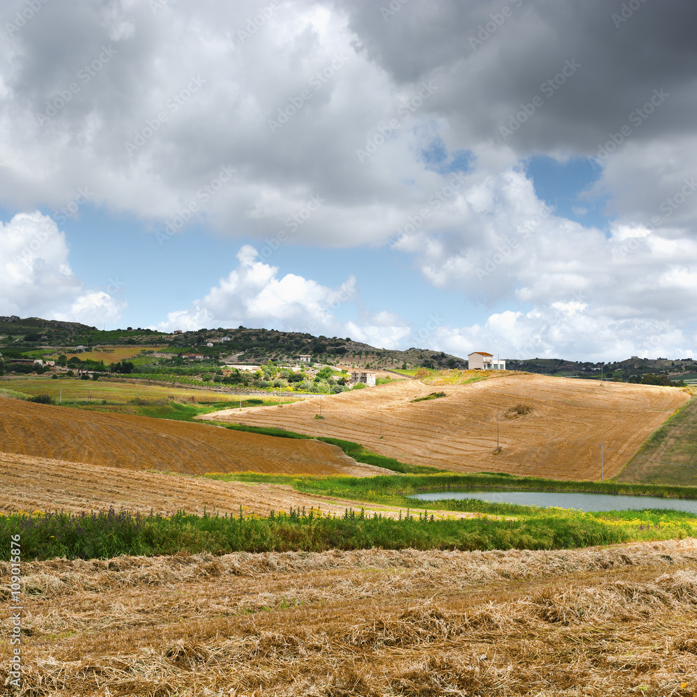 Mown Field Mown Field