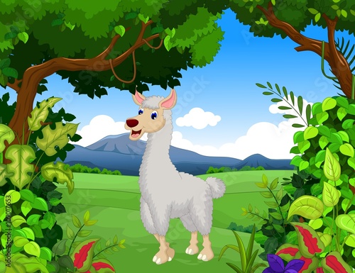 cute lama cartoon with forest landscape background