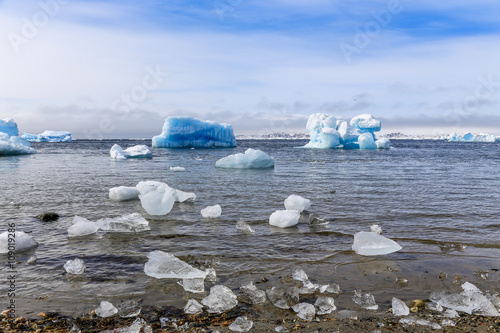 Huge blue icebergs drifting along the fjord, view from old harbo photo