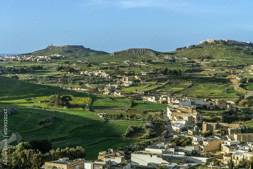 Fototapeta premium Fields in Malta