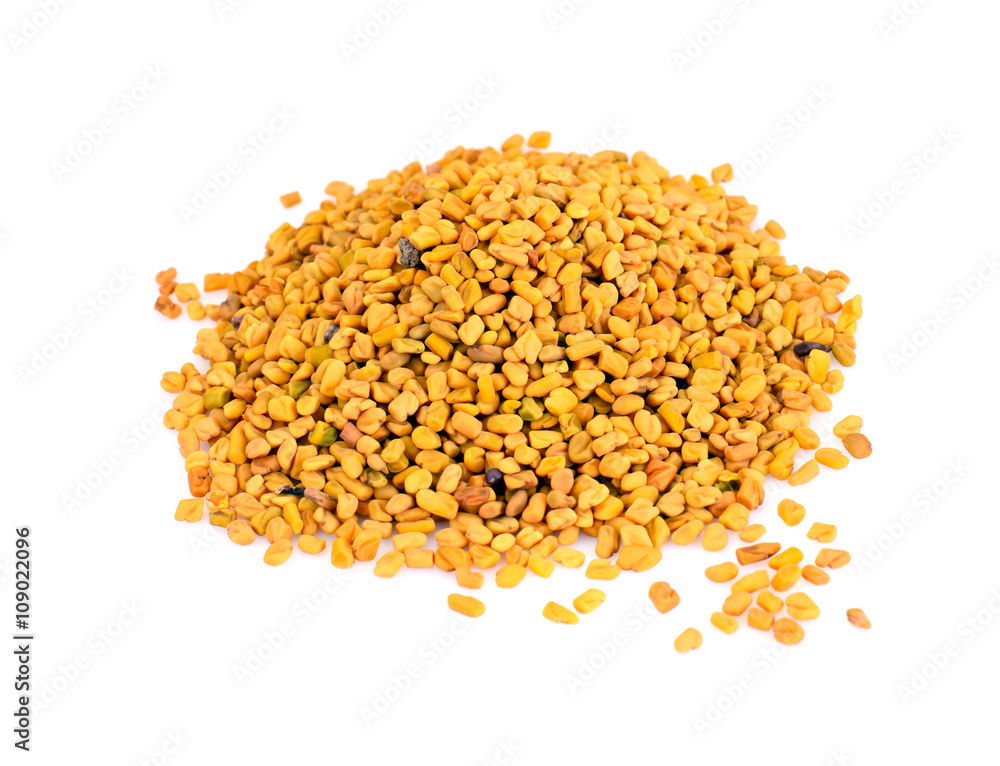 Fenugreek Seasoning Isolated on White Background Fenugreek Seasoning Isolated on White Background