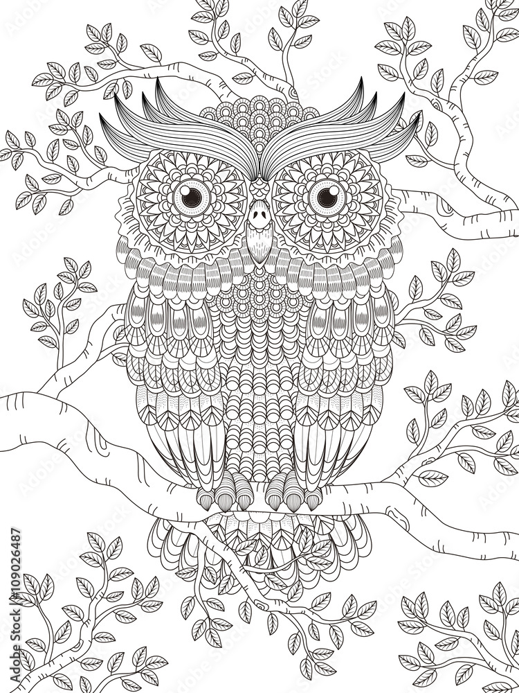 Naklejka premium adult coloring page with gorgeous owl