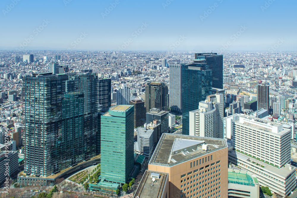 Fototapeta premium 東京の街並み