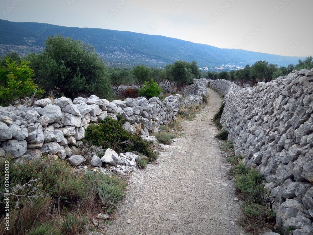 Path surrounded by wall of stones