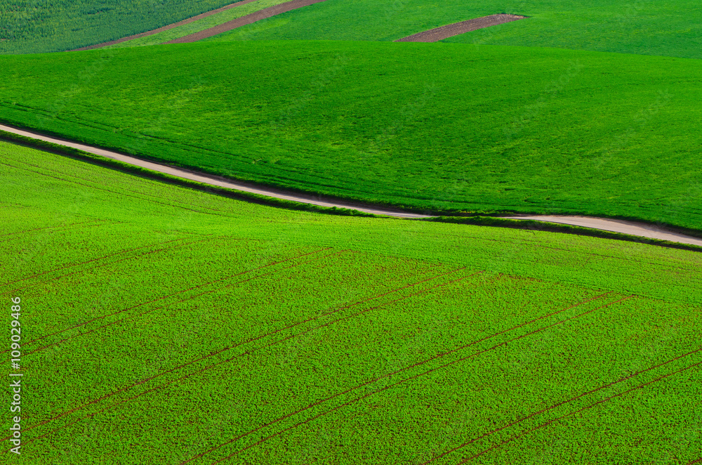 Rural landscape with green fields, road and waves, South Moravia, Czech Republic Rural landscape with green fields, road and waves, South Moravia, Czech Republic