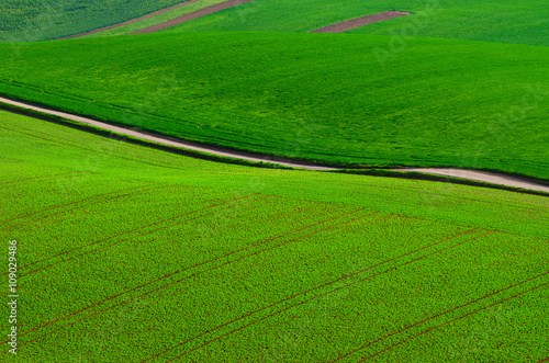 Rural landscape with green fields, road and waves, South Moravia, Czech Republic © Roxana