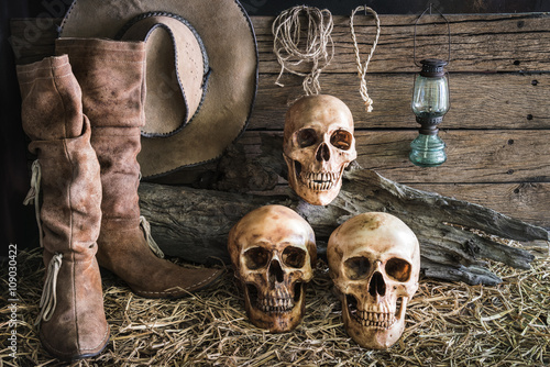 still life with three human skull in barn background