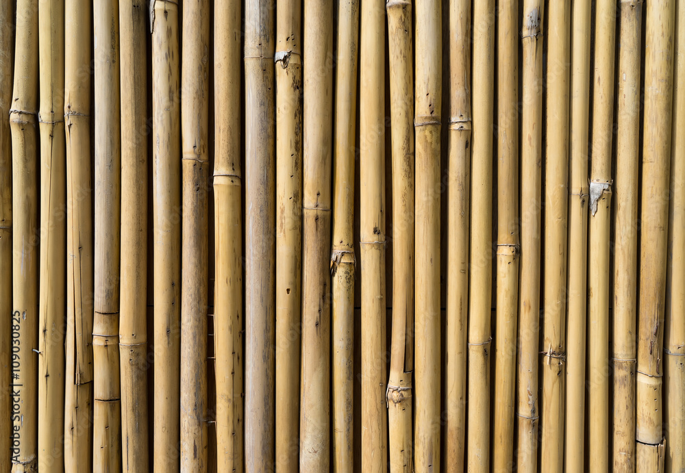 bamboo fence bamboo fence