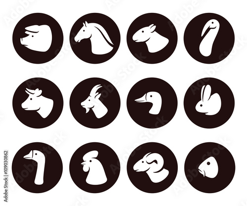Farm animals set. Vector