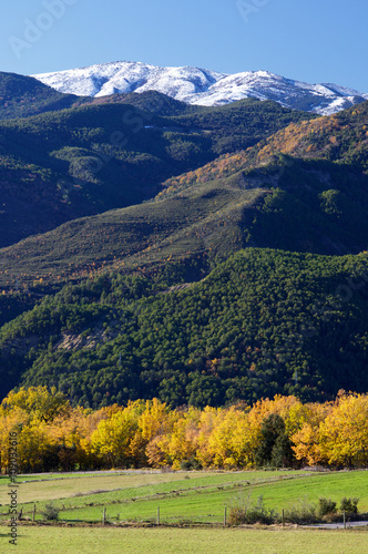 Pyrenees