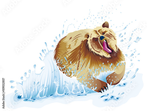 Ours courant dans l'eau