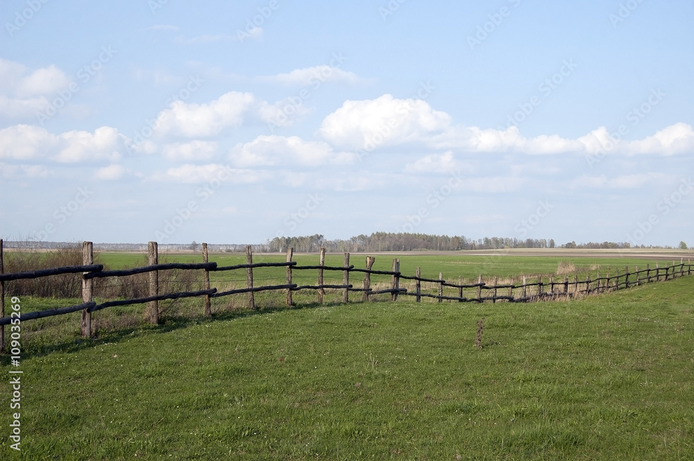 Green meadow enclosed by a wooden fence
