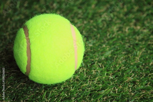 Tennis ball on grass