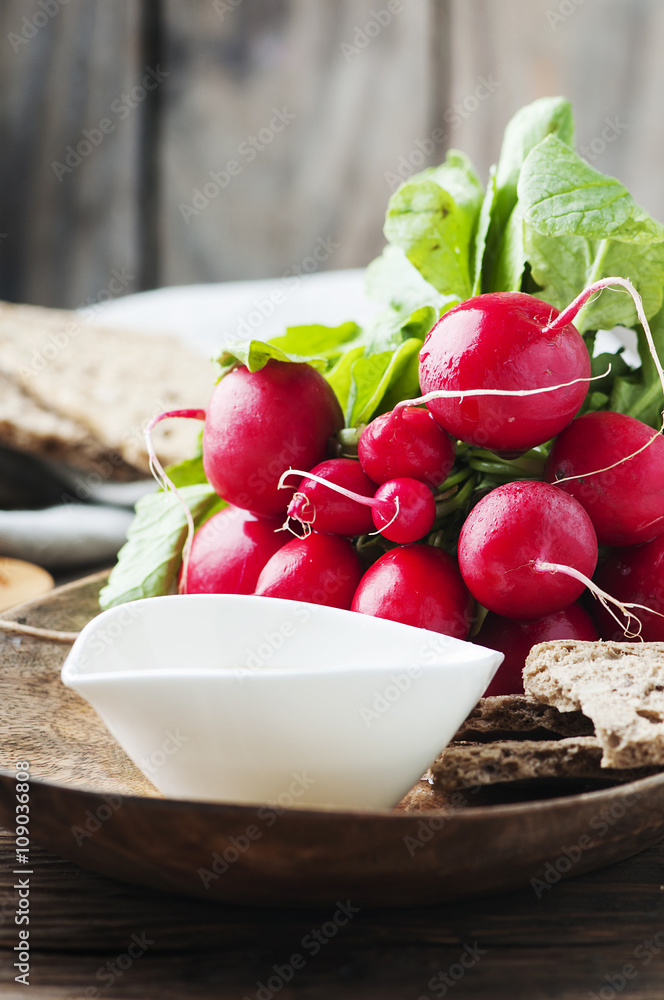 Fresh red radish with olive oil and bread Fresh red radish with olive oil and bread