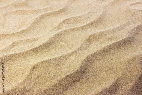 Texture Sand Dune