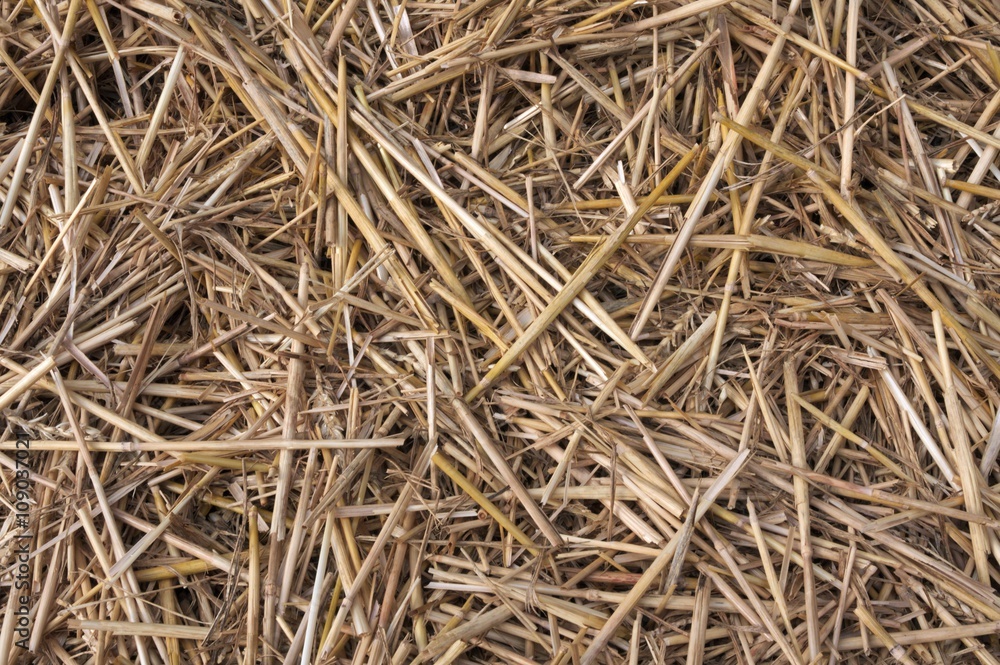 Dry straw rural texture background Dry straw rural texture background