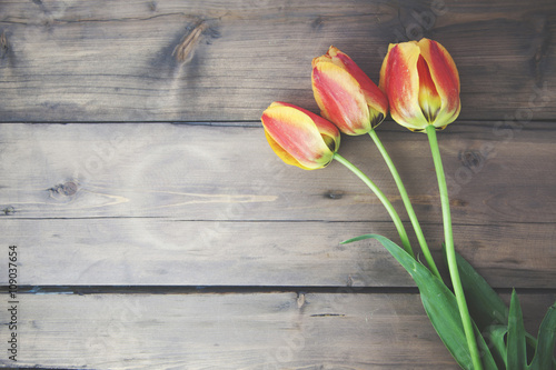 tulips on  wooden table