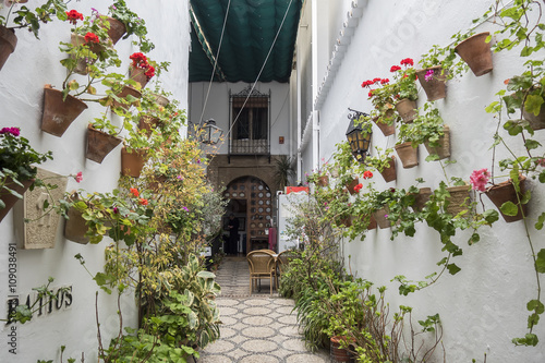 Fototapeta Naklejka Na Ścianę i Meble -  Courtyard decorated with geraniums, Cordoba, Spain
