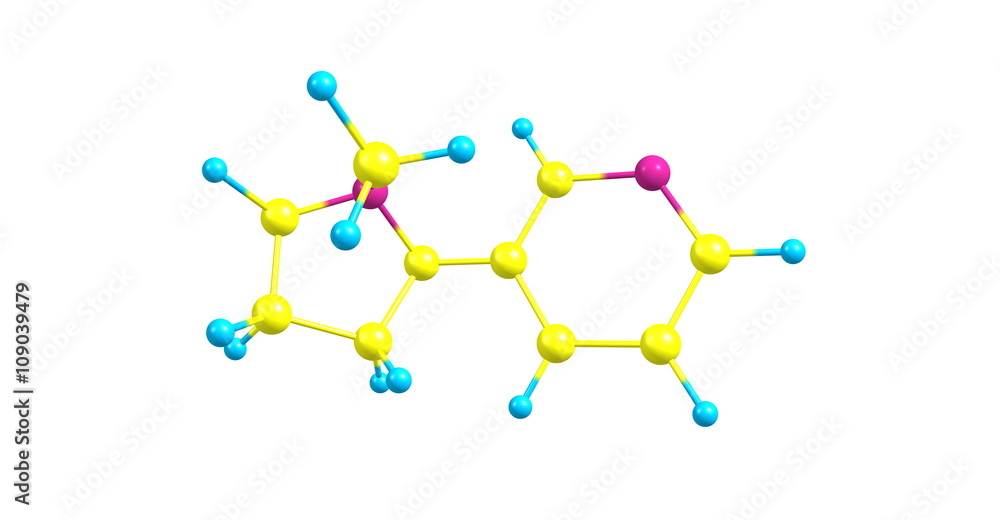 3D illustration of nicotine molecular structure isolated on white 3D illustration of nicotine molecular structure isolated on white