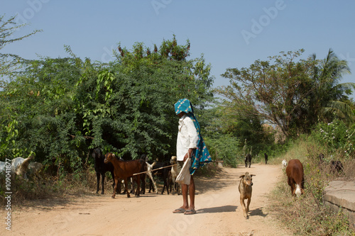 Shepherd and goats   © 70200