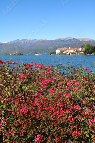 Isola Bella and Isola Superiore in spring at Lake Maggiore Italy 