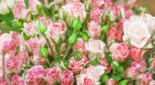 Bouquet of little pink roses