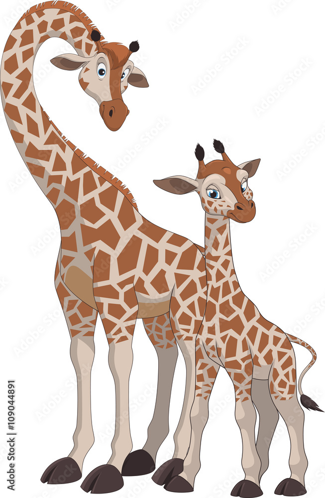 Fototapeta premium Giraffe and cub