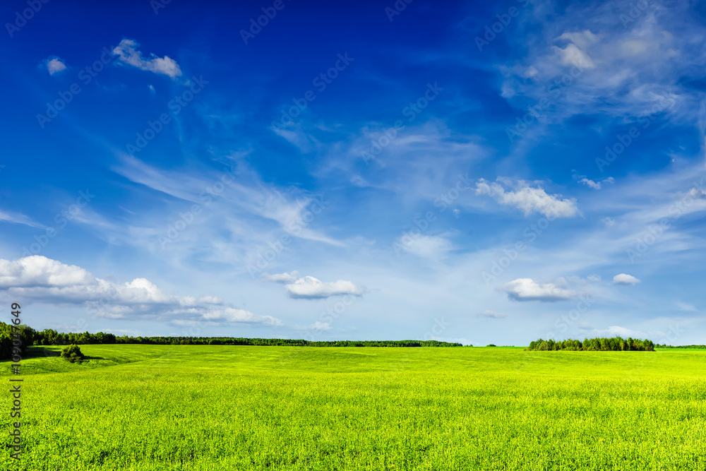 Fototapeta premium Spring summer green field scenery lanscape 