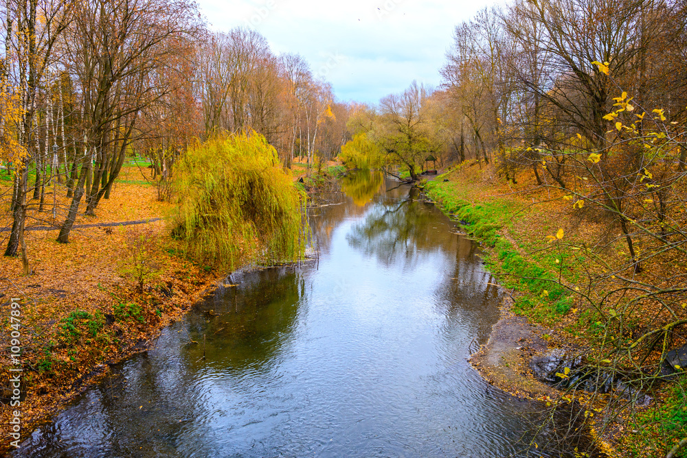custom made wallpaper toronto digitalsmall river in autumn forest