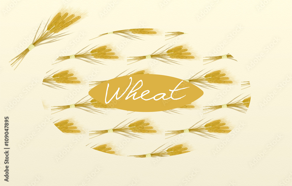 Sheaves of wheat in watercolor Sheaves of wheat in watercolor