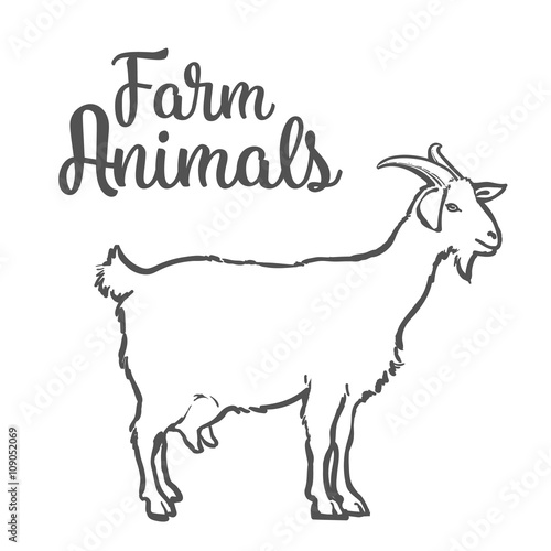 Farm pet goat sketch drawn by hand, cattle, milk and goat meat, goat meat, one farm horned animal on a white background, vector illustration livestock - goats.