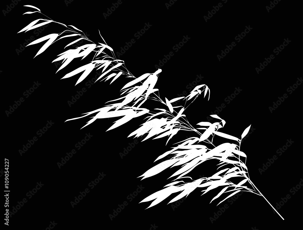 Fototapeta premium long single white bamboo isolated branch