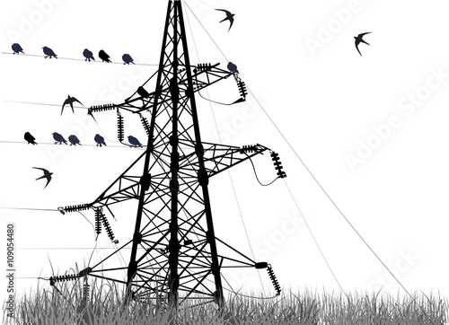 electric pylon with small birds isolated on white