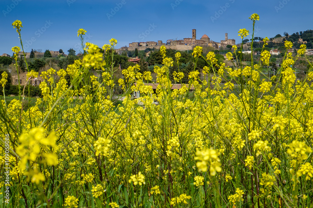 Obraz premium Italy, Tuscany, Volterra, landscape